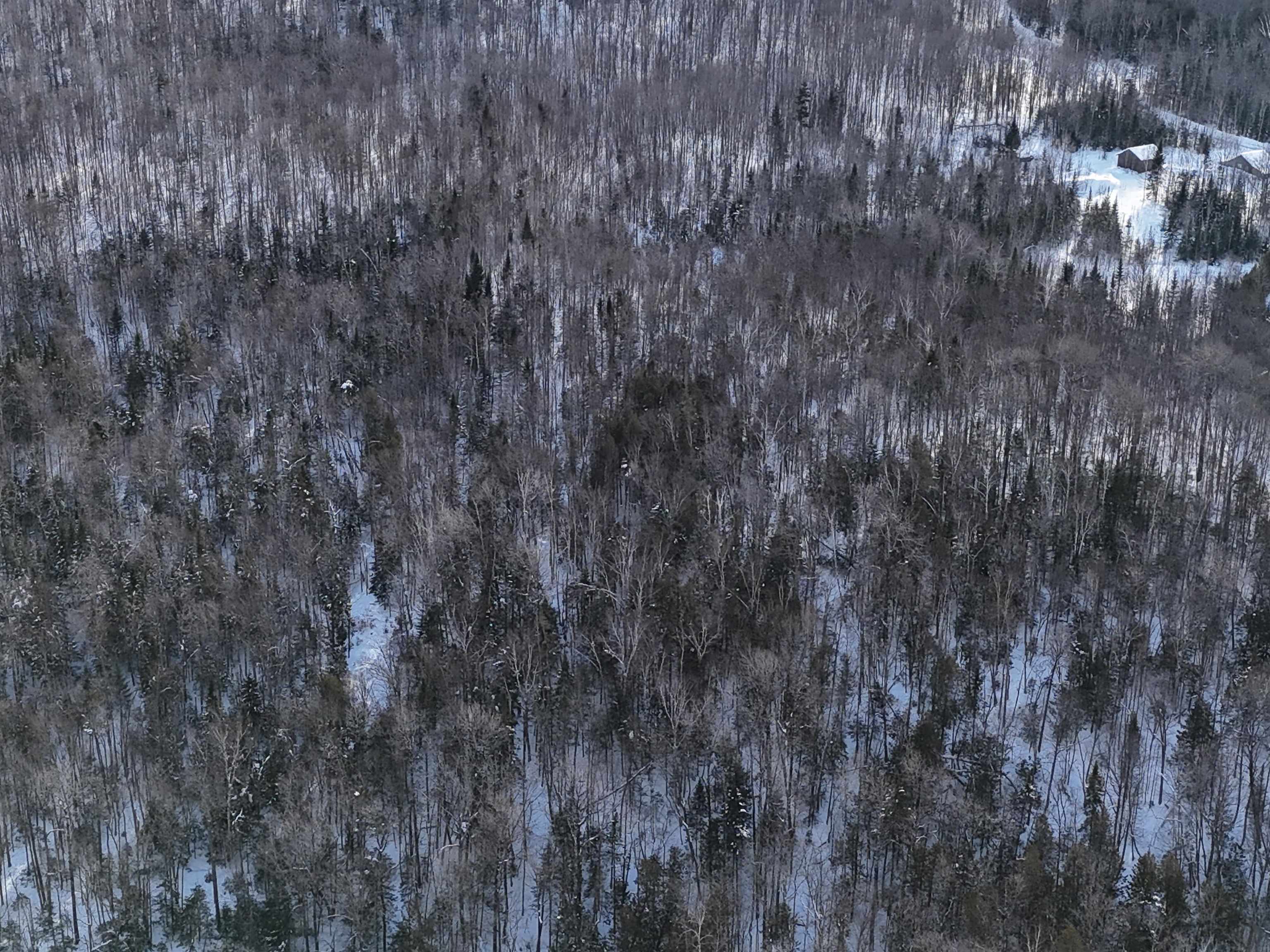 South Wheelock Road Lyndonville, VT 05851 - Photo 14 of 33