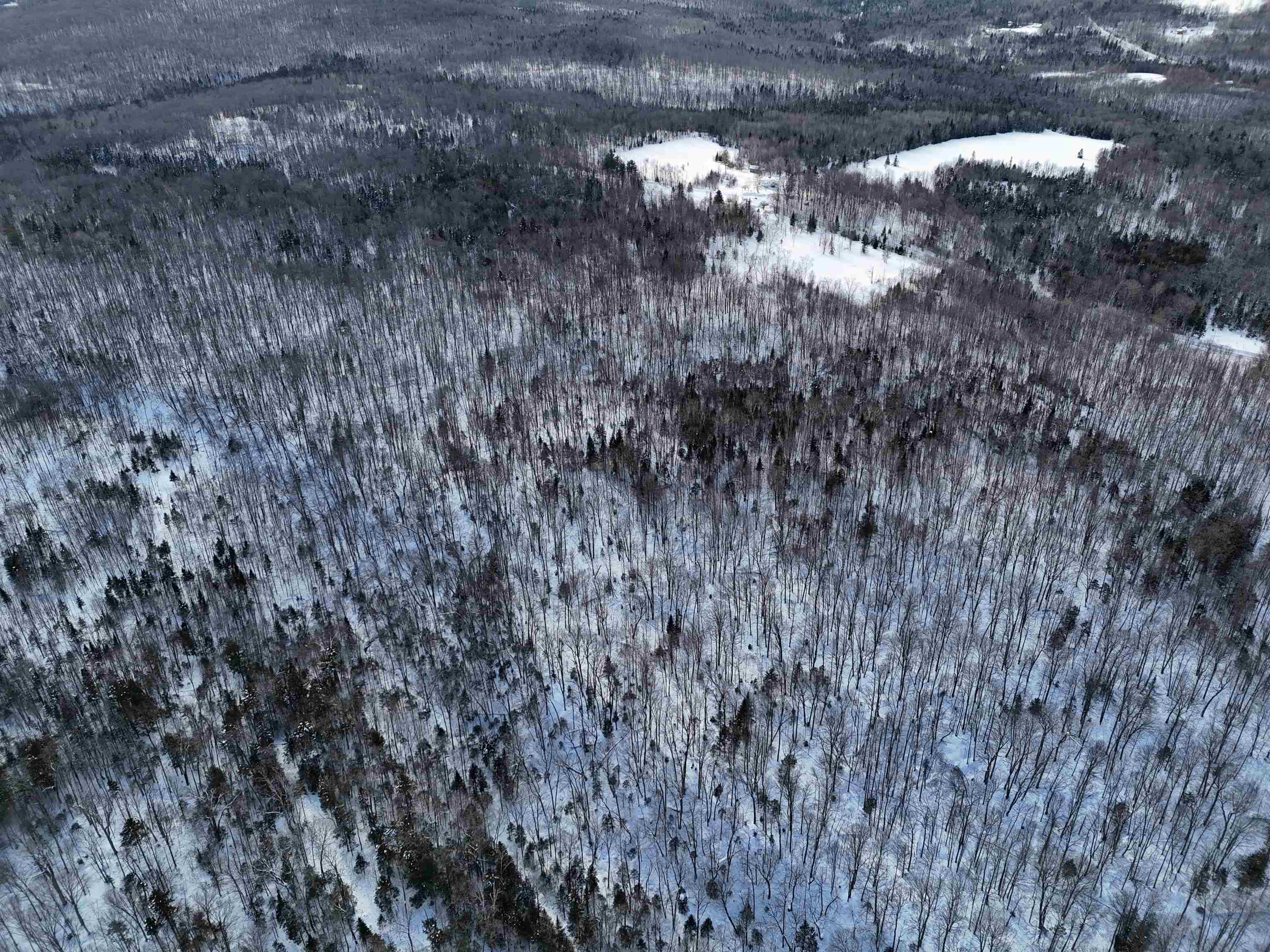 South Wheelock Road Lyndonville, VT 05851 - Photo 27 of 33