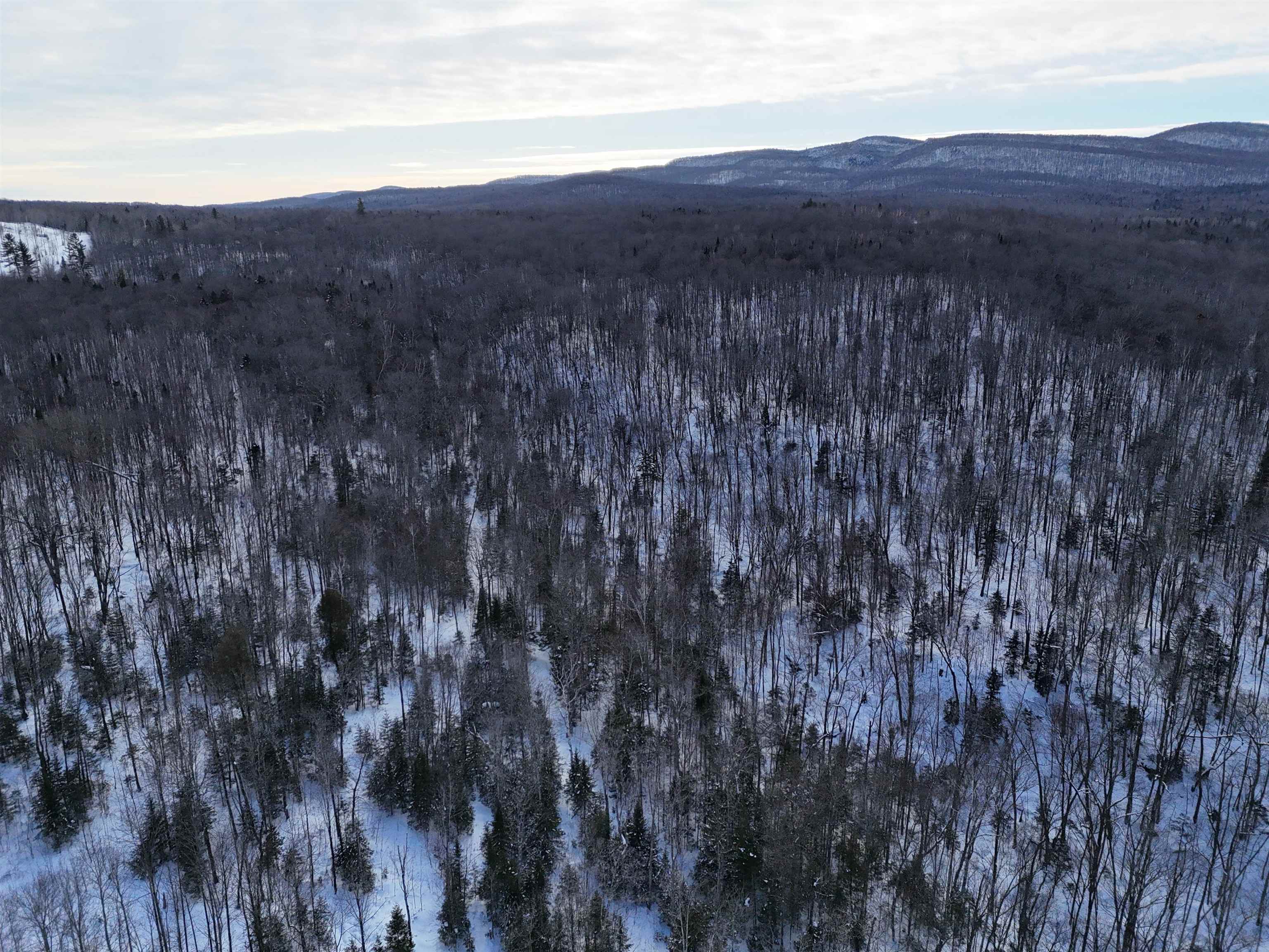 South Wheelock Road Lyndonville, VT 05851 - Photo 29 of 33