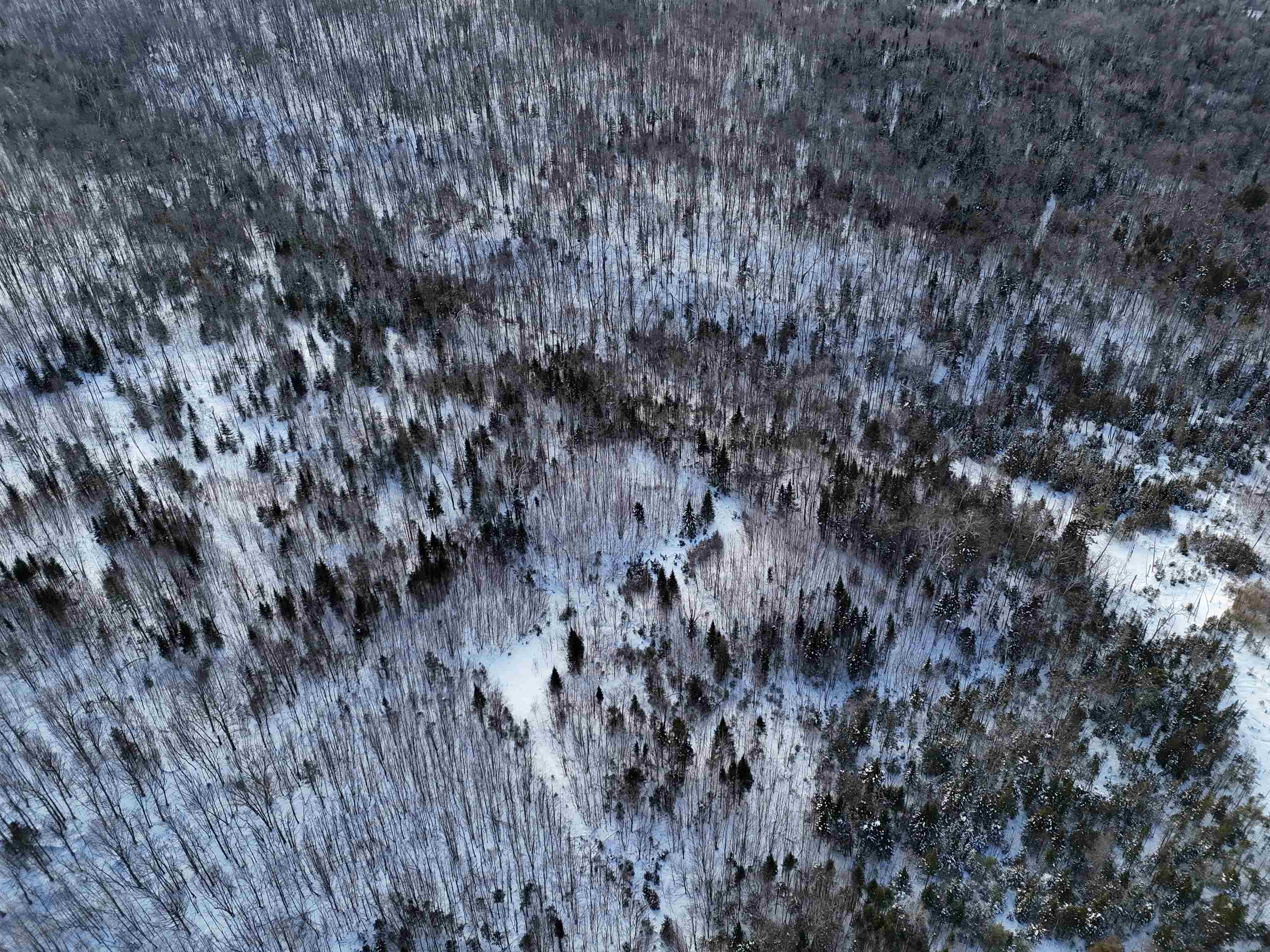 South Wheelock Road Lyndonville, VT 05851 - Photo 31 of 33