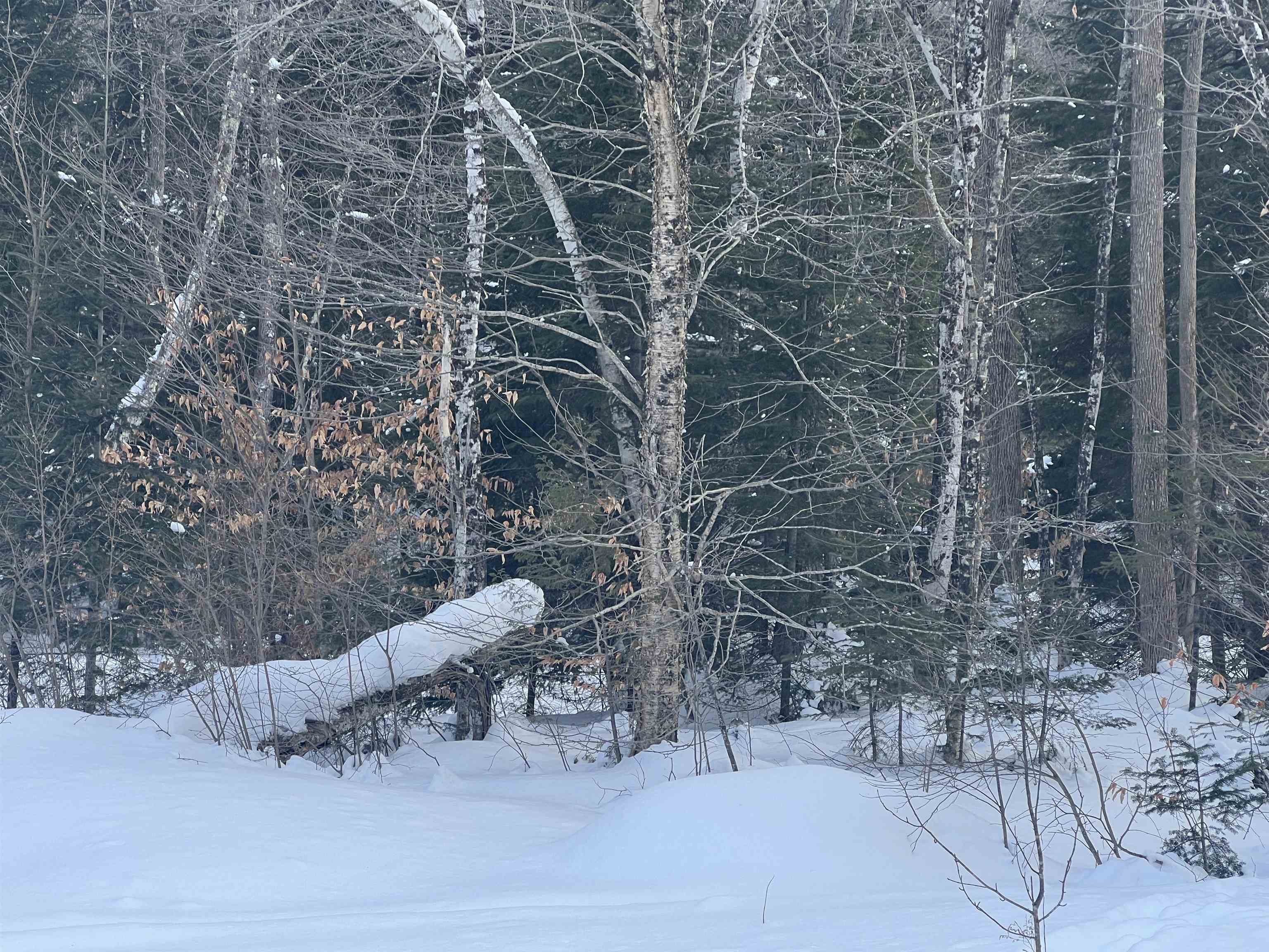 South Wheelock Road Lyndonville, VT 05851 - Photo 5 of 33