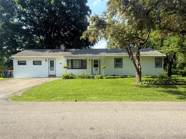 a front view of house with yard and green space