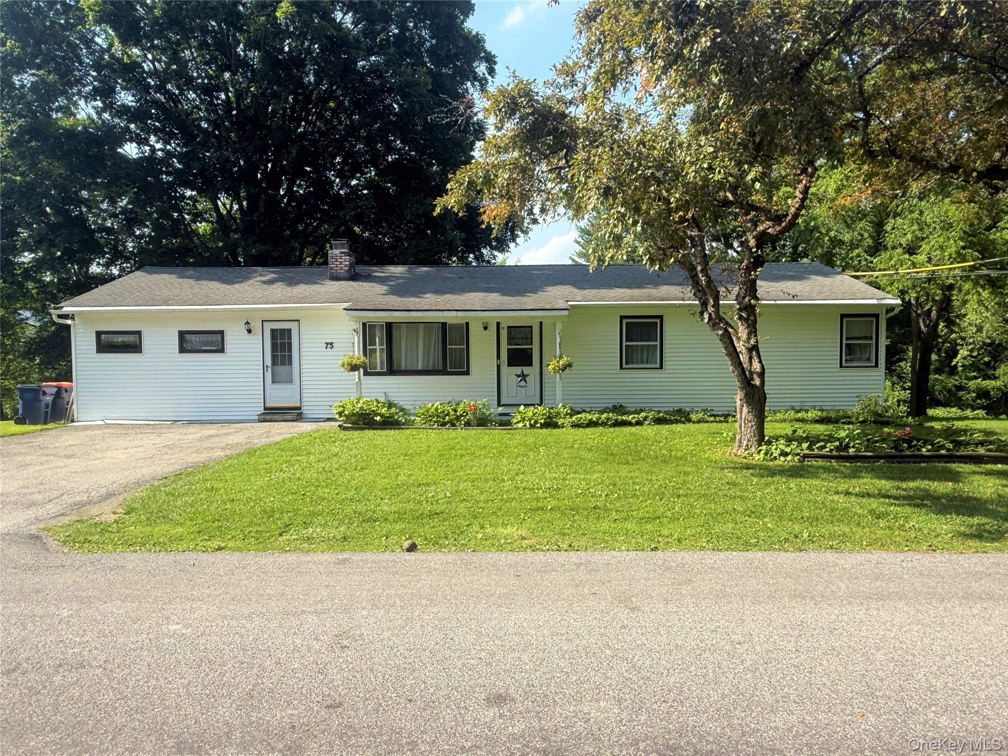 a front view of house with yard and green space