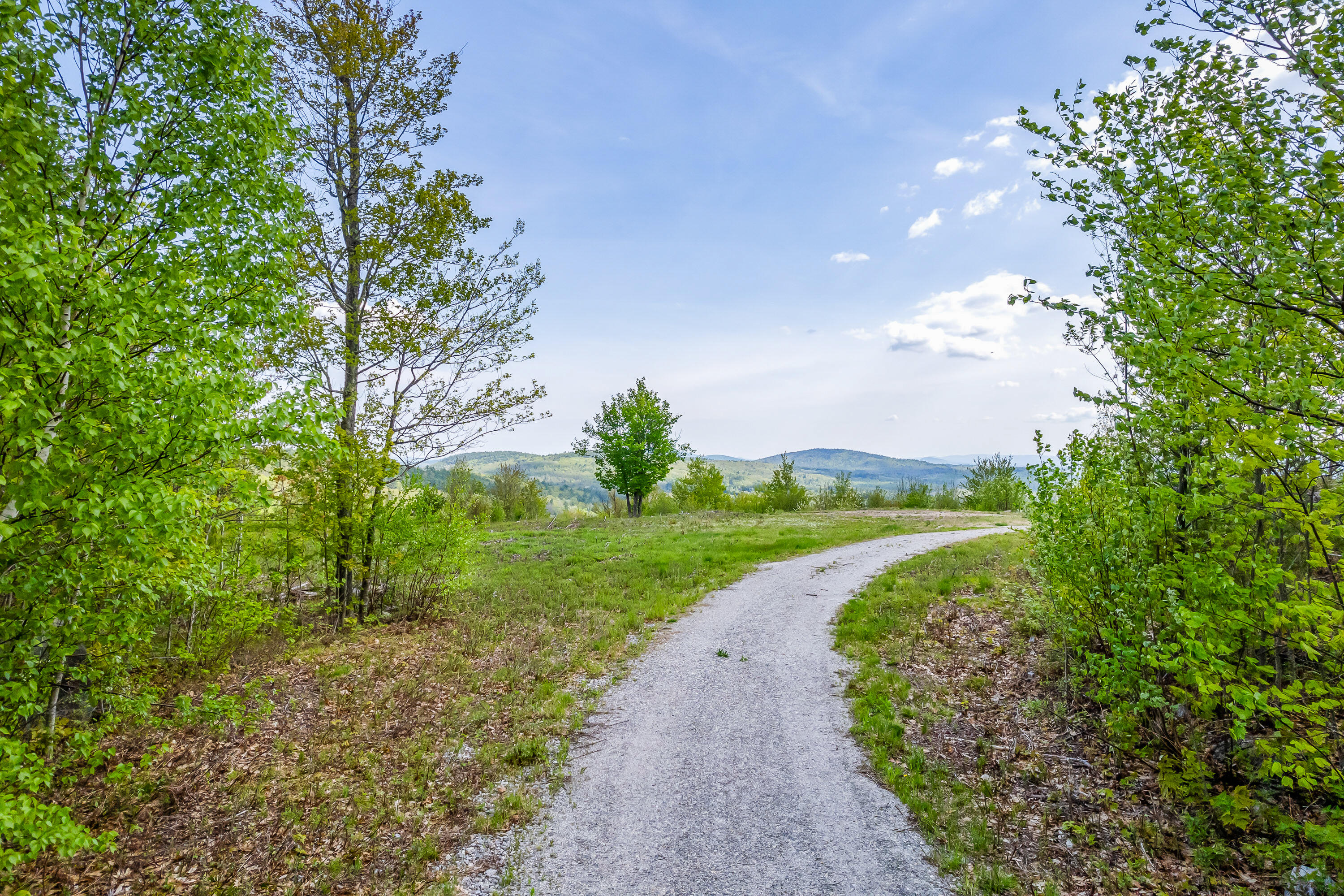 0 Foster Mountain Road Stoneham, ME 04231 - Photo 11 of 34 Stoneham Land_Private_107