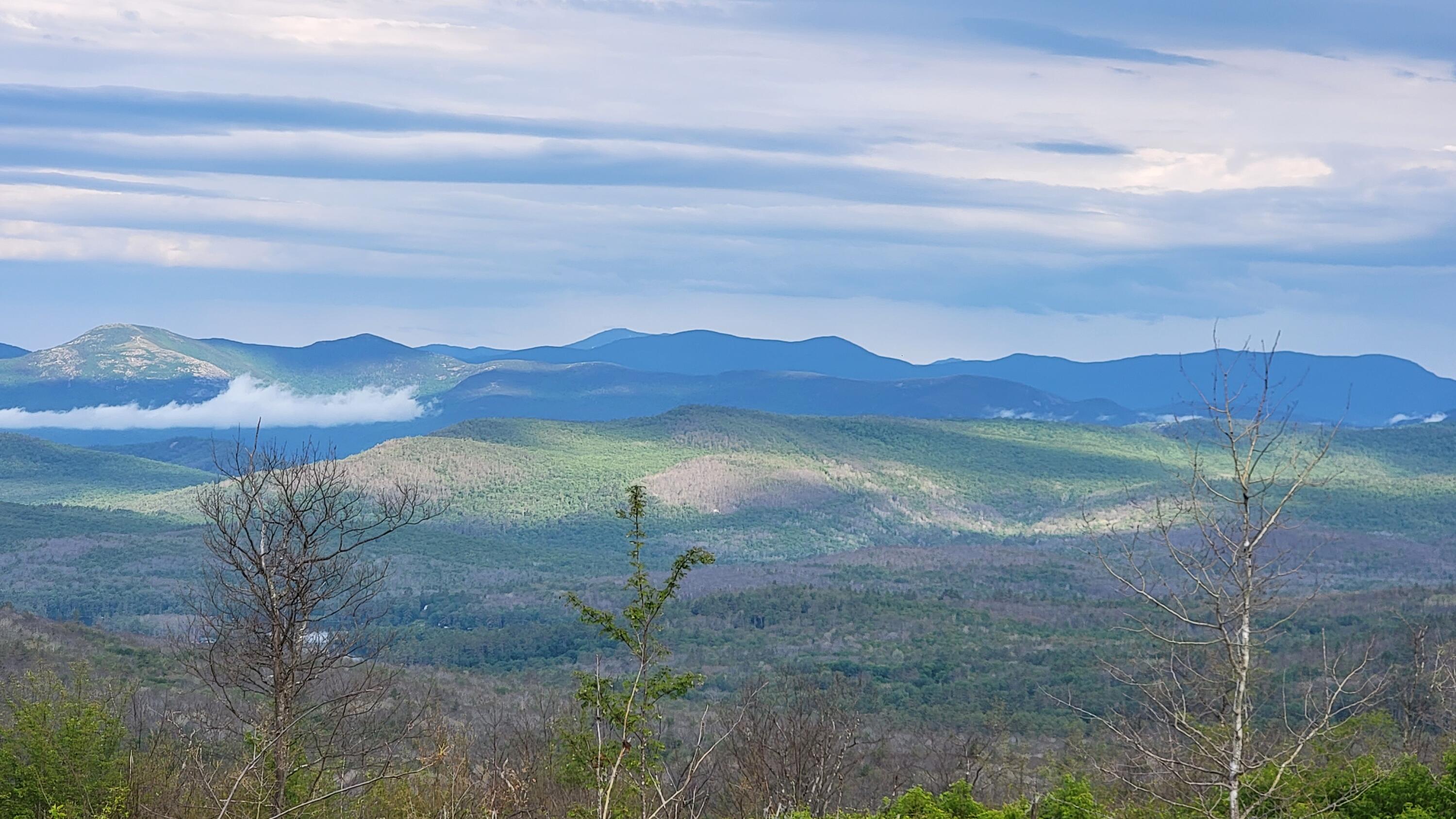 0 Foster Mountain Road Stoneham, ME 04231 - Photo 2 of 34 20220616_071023