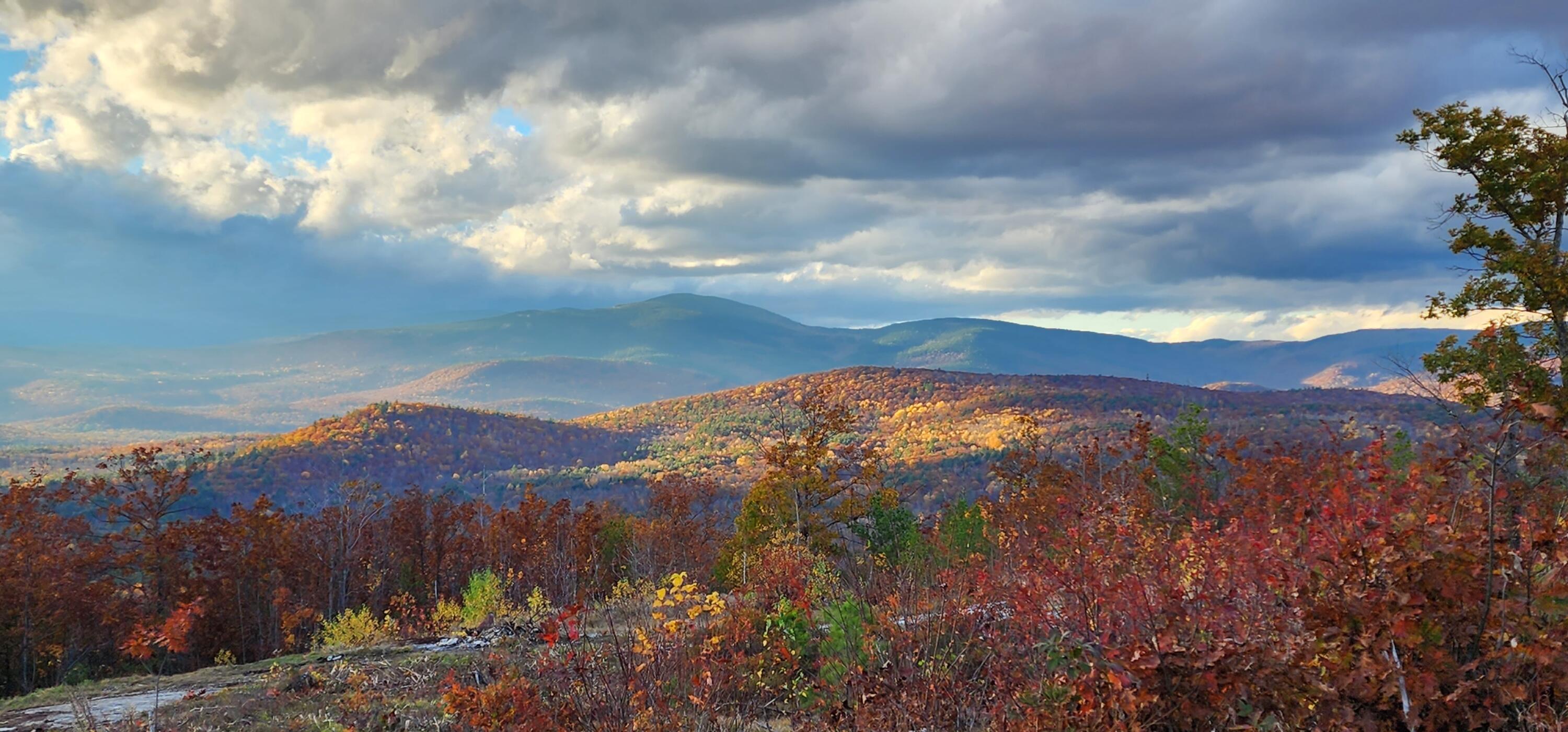0 Foster Mountain Road Stoneham, ME 04231 - Photo 4 of 34 20231028_163619 (1) (1)
