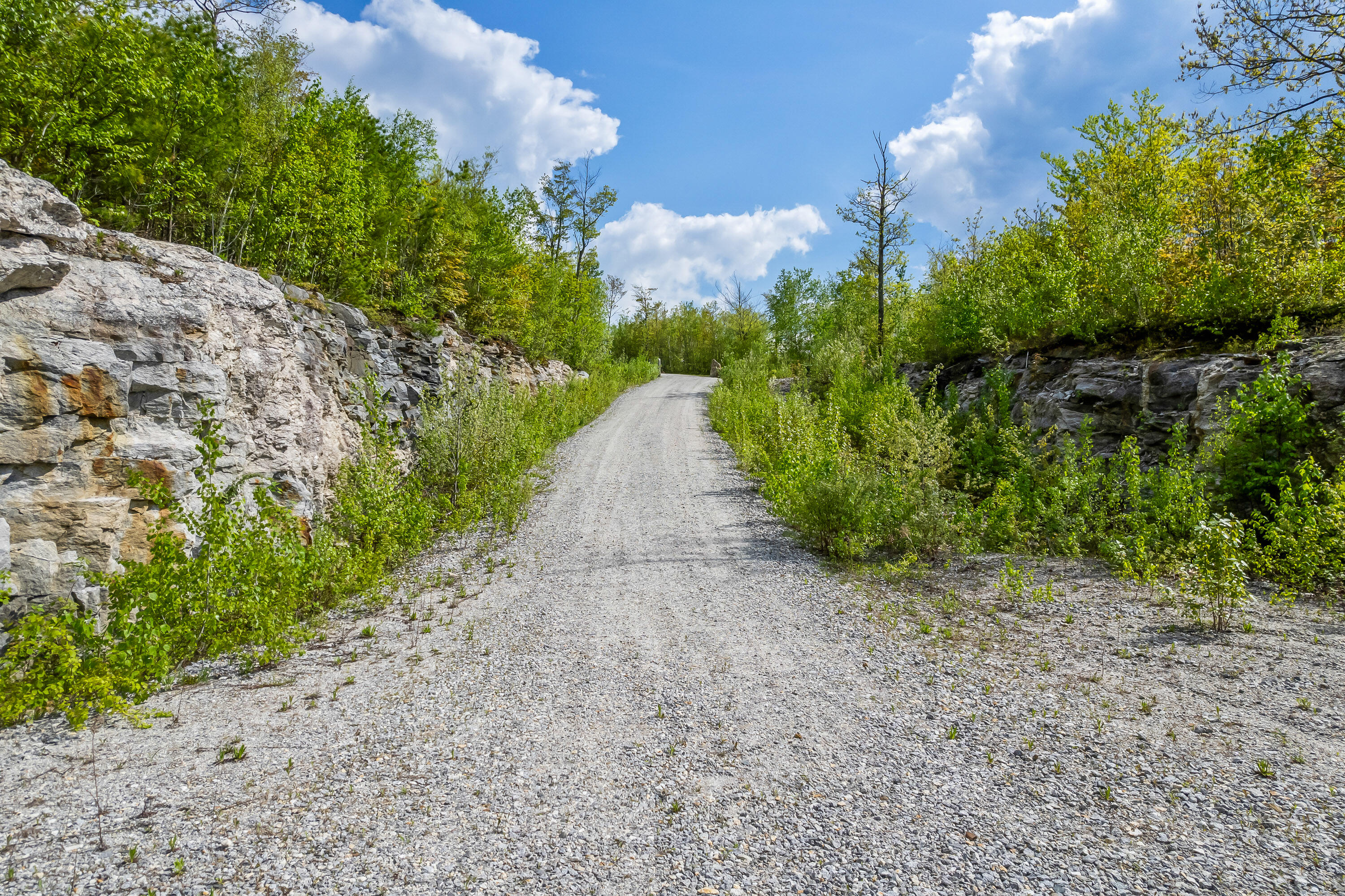 0 Foster Mountain Road Stoneham, ME 04231 - Photo 9 of 34 Stoneham Land_Private_105