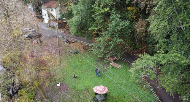 a view of a lush green forest