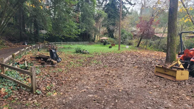 a view of a park with large trees