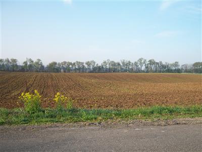 West Elm Valley Road Buchanan, MI 49107 - Photo 1 of 3 Primary Photo