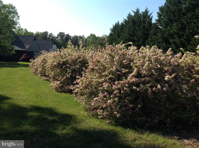 $1,300,000 | 12520 Paige Lane, Fredericksburg, VA 22407