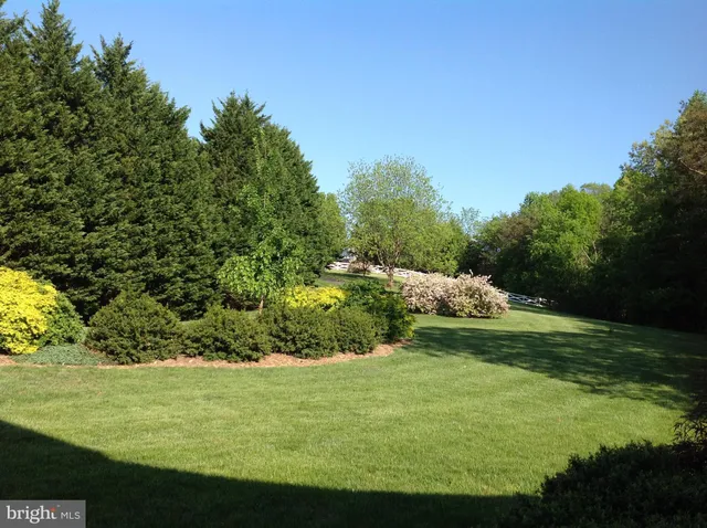 a living room with furniture fireplace and wooden floor