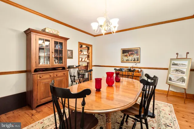a view of a street with potted plants and large trees