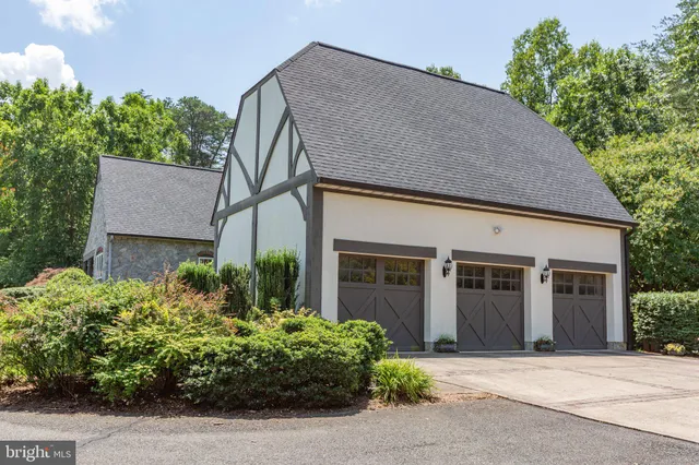 a view of a large garden with plants and large trees
