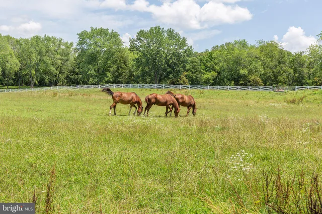 $1,300,000 | 12520 Paige Lane, Fredericksburg, VA 22407