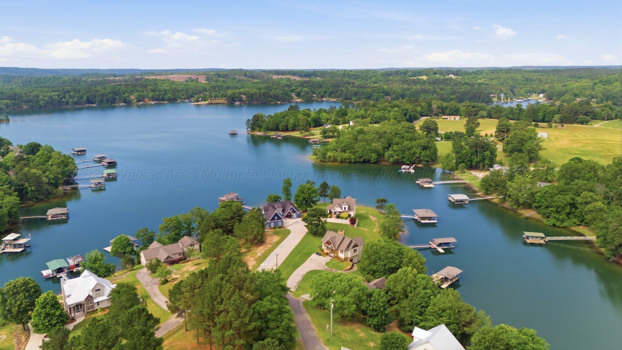 188 Rock Shore Road Arley, AL 35541 - Photo 40 of 41 Aerial