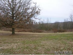 784 Oak Grv Ext Road St. Marys, WV 26170 - Photo 4 of 8 Property View