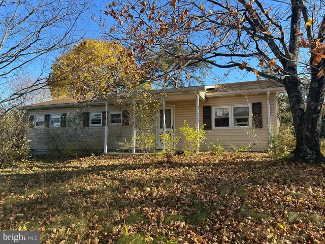 front view of a house with a tree