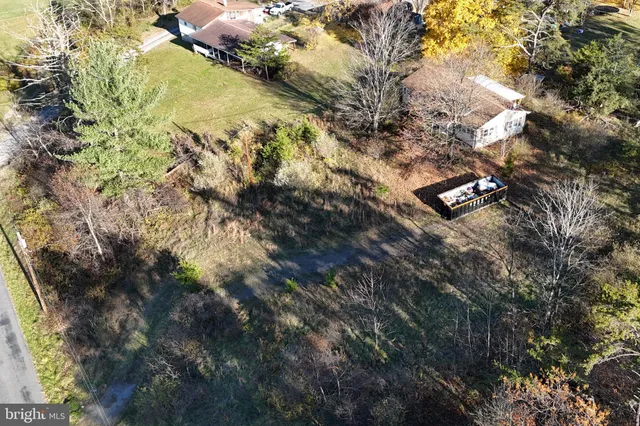 a city view with tall trees
