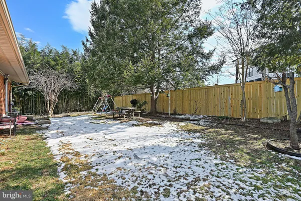 a view of a backyard with a trees
