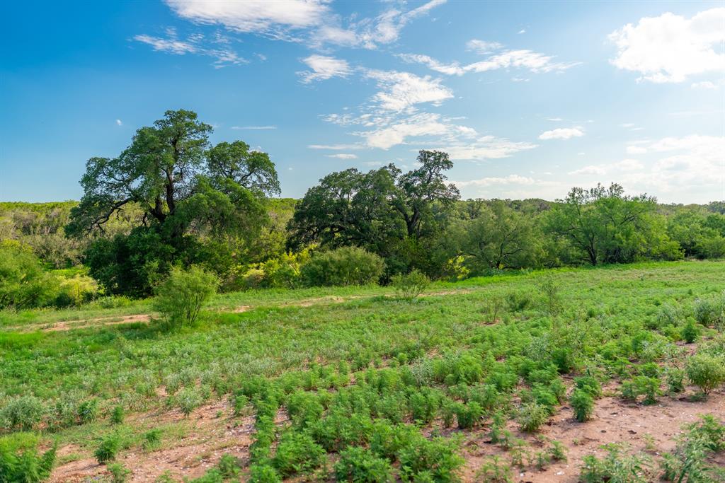 Tbd Cr 224 Brookesmith, TX 76827 - Photo 20 of 25 Live Oaks in the river bottom