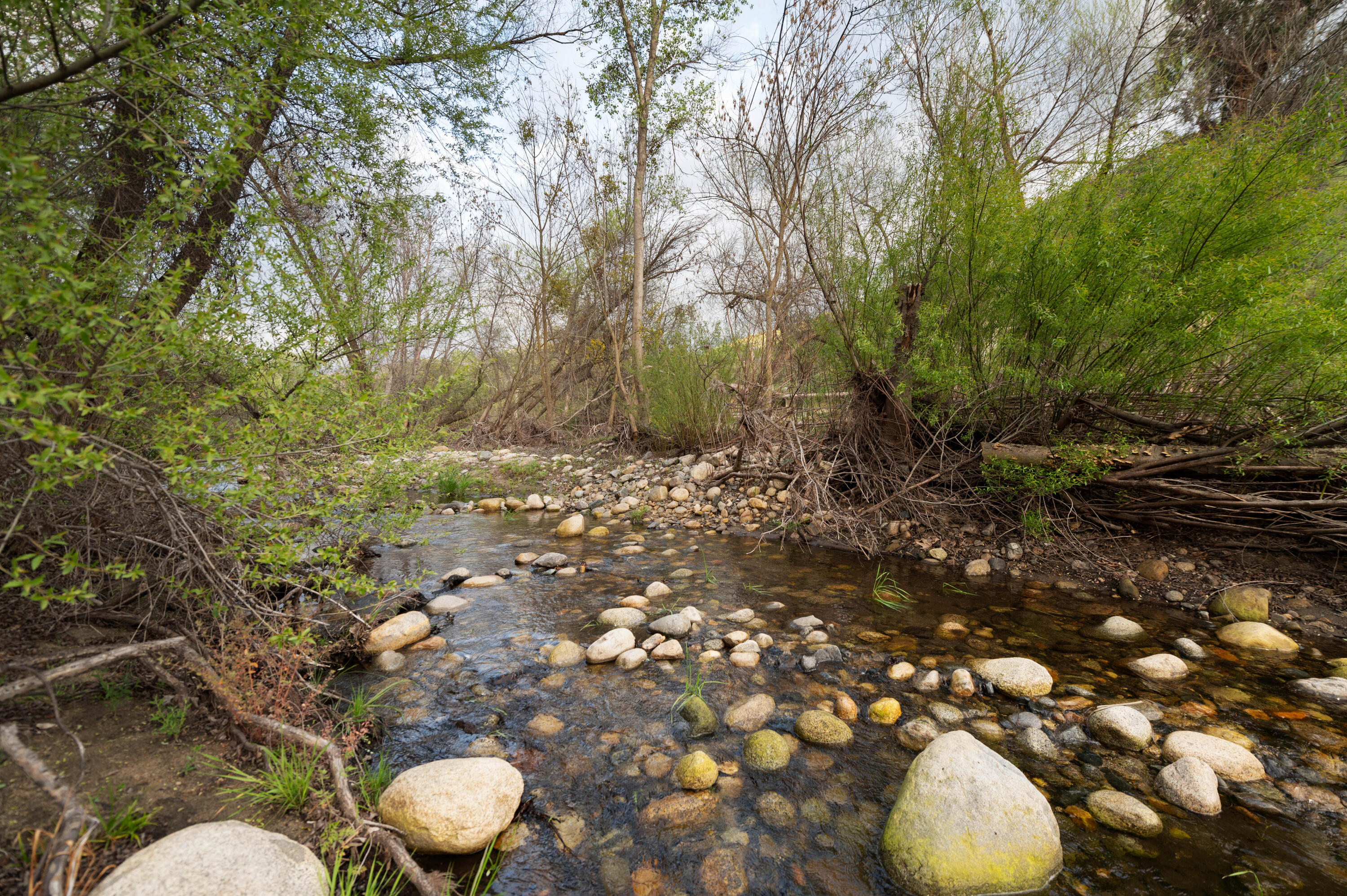 42440 Kaweah River Drive Three Rivers, CA 93271 - Photo 89 of 135 Z62_5831