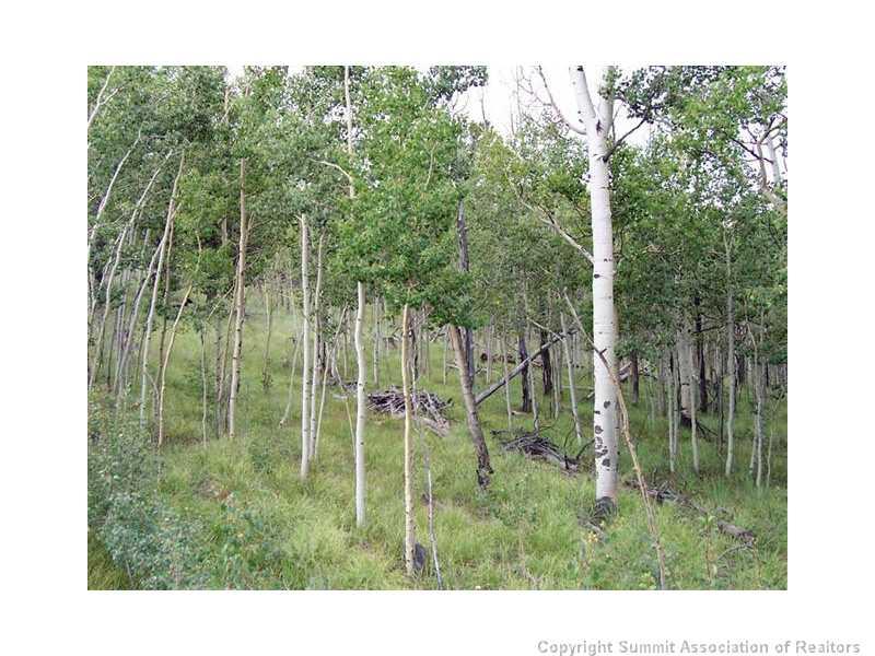 579 Old Squaw Road Como, CO 80432 - Photo 3 of 3 Gallery Image 3