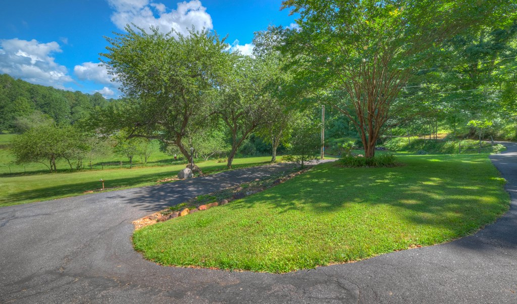 438 McDonald Road Murphy, NC 28906 - Photo 14 of 81 Gallery Image 14