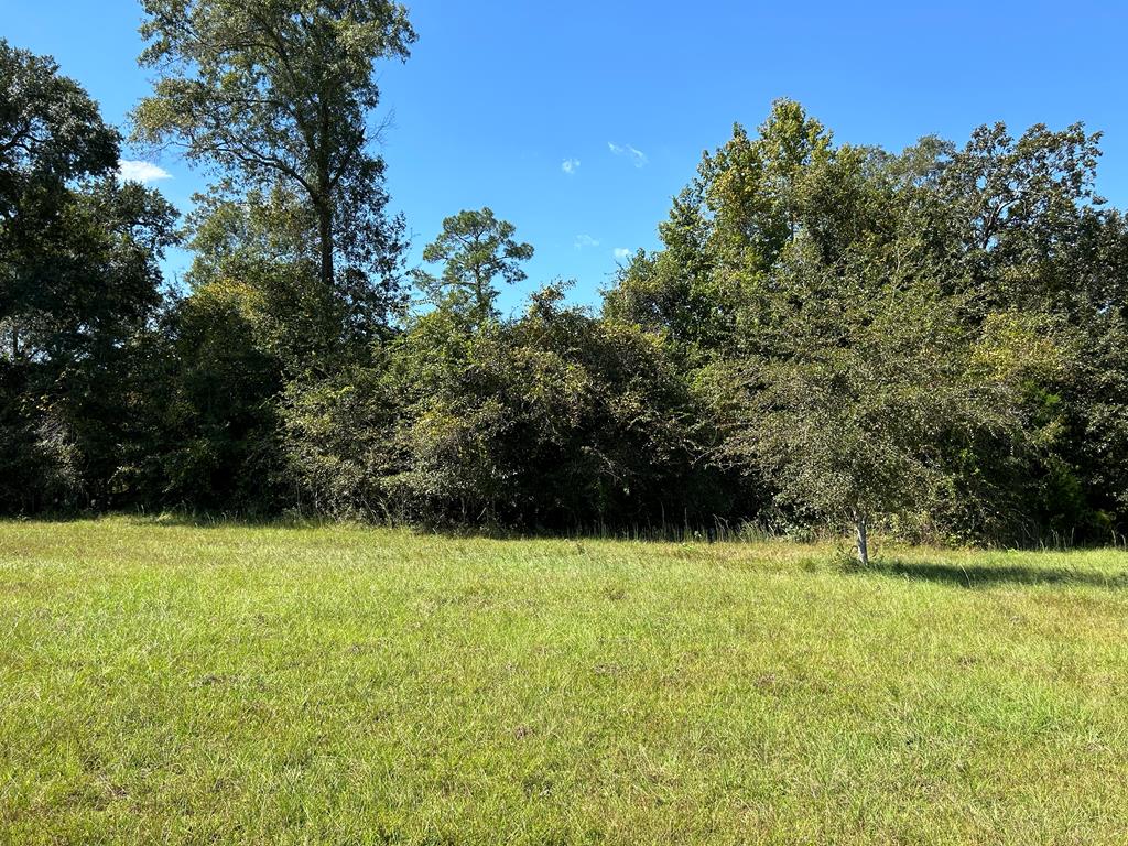 1.9-ac Barnes Road Gordon, AL 36343 - Photo 1 of 28 Main View