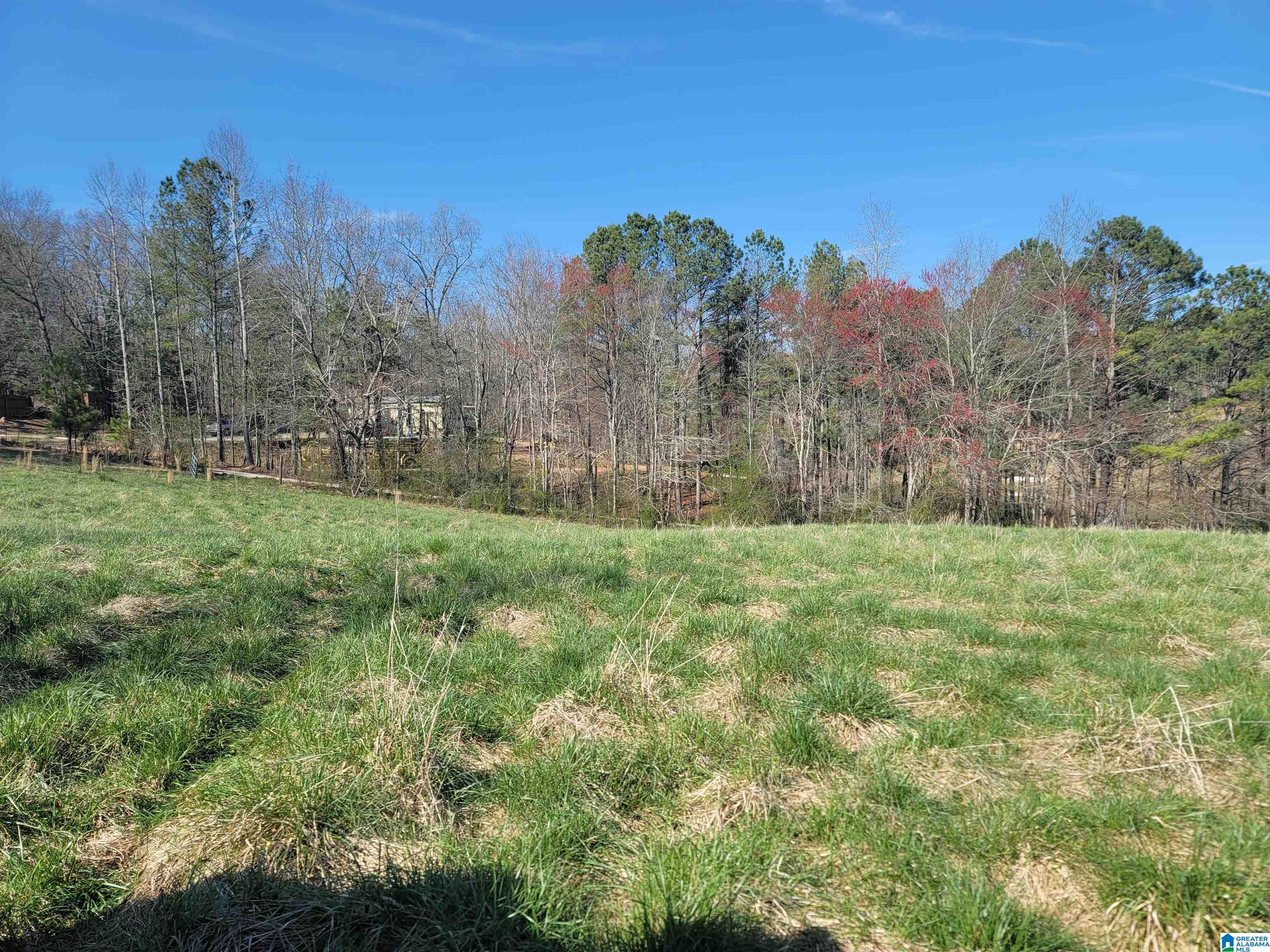 208 County Road, Unit 23 Muscadine, AL 36269 - Photo 9 of 11