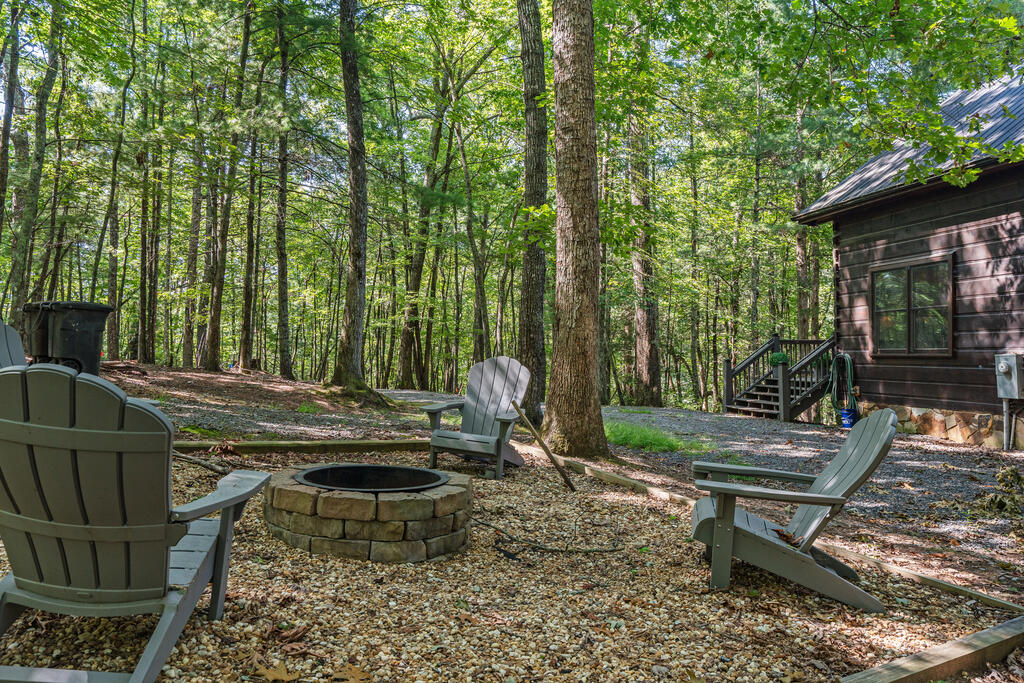 63 Bushy Head Road Cherry Log, GA 30522 - Photo 2 of 42 Gallery Image 2