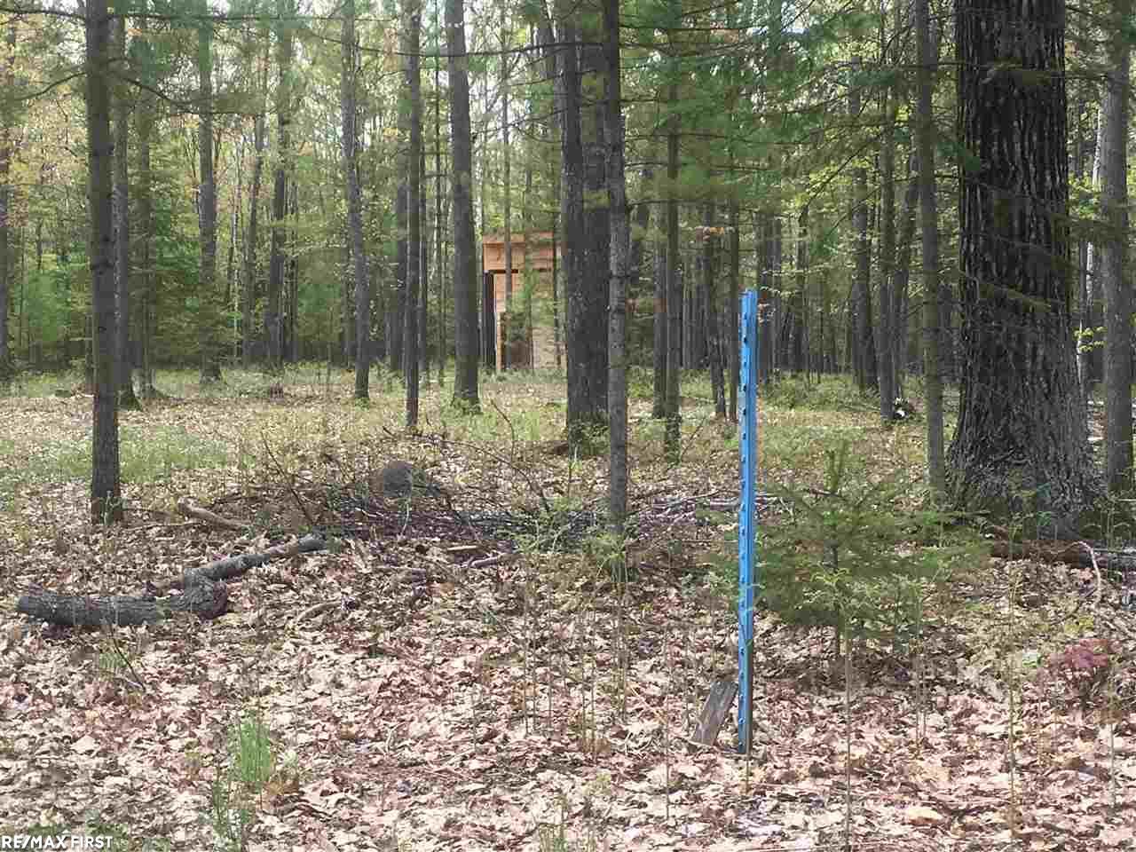 0 McMurphy Road, Unit MCMURPHY Atlanta, MI 49709 - Photo 12 of 12