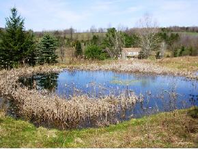 314 Bull Creek Road Whitney Point, NY 13862 - Photo 5 of 12