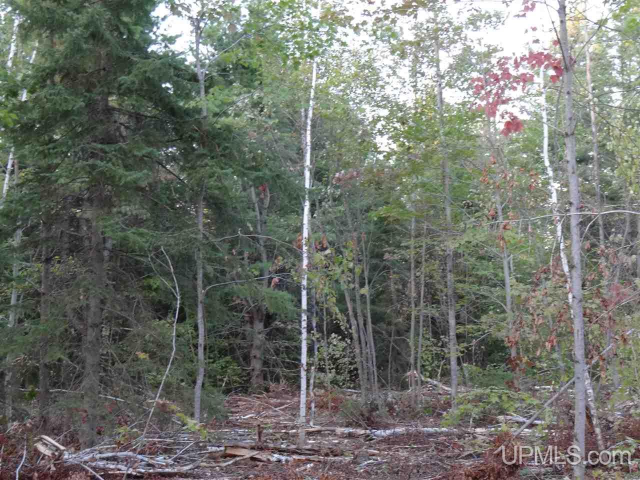 Tbd Liminga Road Atlantic Mine, MI 49905 - Photo 11 of 15 Gallery Image 11
