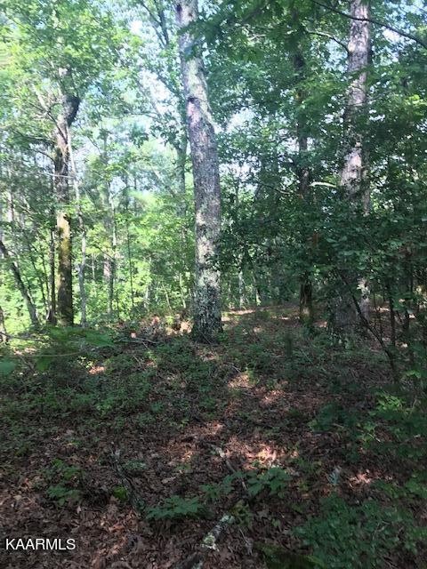11 Chattem/charles Road Decatur, TN 37322 - Photo 2 of 4