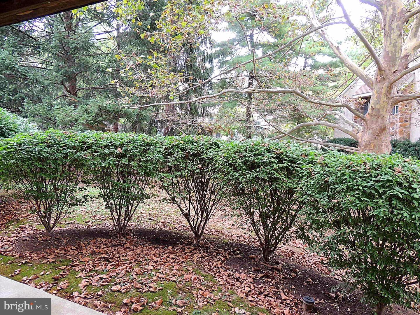 205 Valley Stream Lane Chesterbrook, PA 19087 - Photo 20 of 24