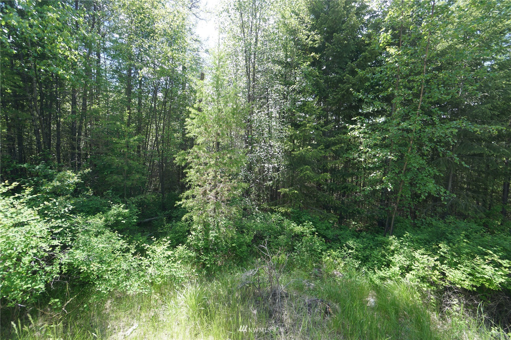 15-tbd Wild Turkey Lane Riverside, WA 98849 - Photo 1 of 23 Gallery Image 1