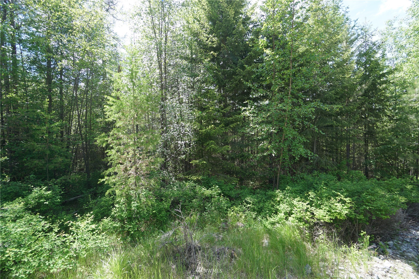 15-tbd Wild Turkey Lane Riverside, WA 98849 - Photo 12 of 23 Gallery Image 12