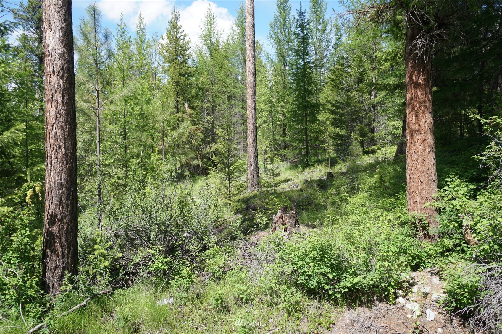 15-tbd Wild Turkey Lane Riverside, WA 98849 - Photo 3 of 23 Gallery Image 3