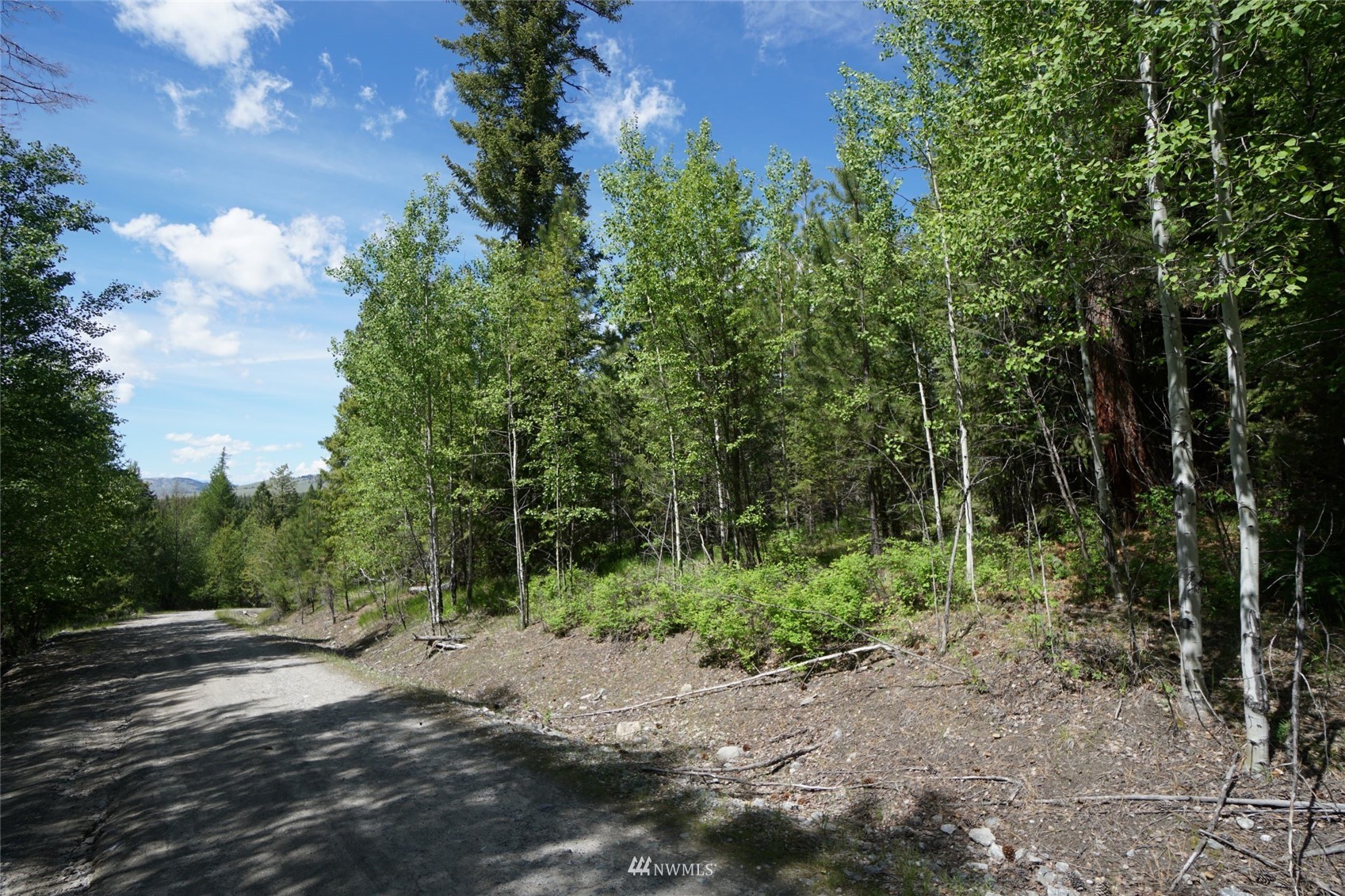 15-tbd Wild Turkey Lane Riverside, WA 98849 - Photo 5 of 23 Gallery Image 5