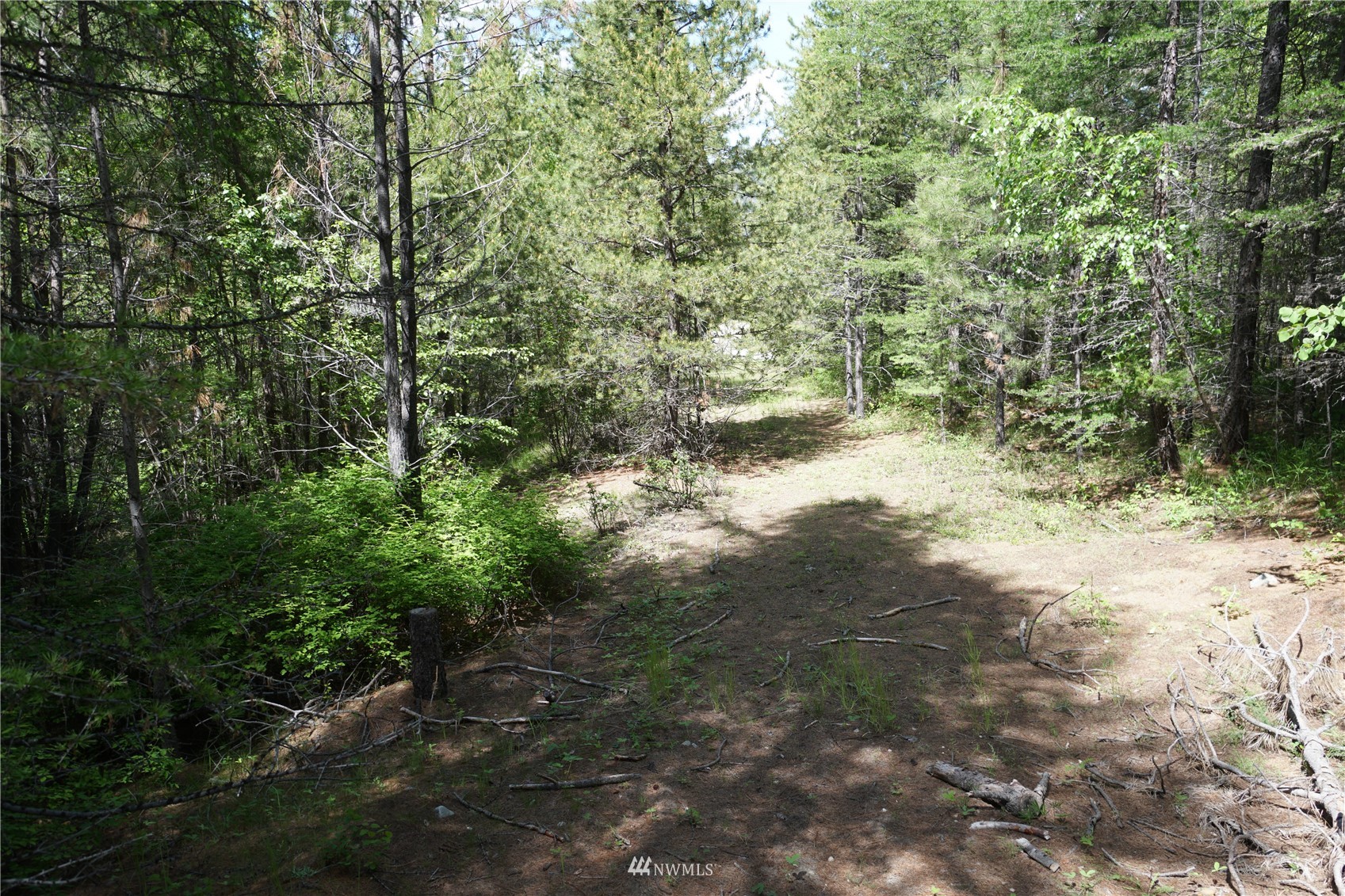 15-tbd Wild Turkey Lane Riverside, WA 98849 - Photo 9 of 23 Gallery Image 9