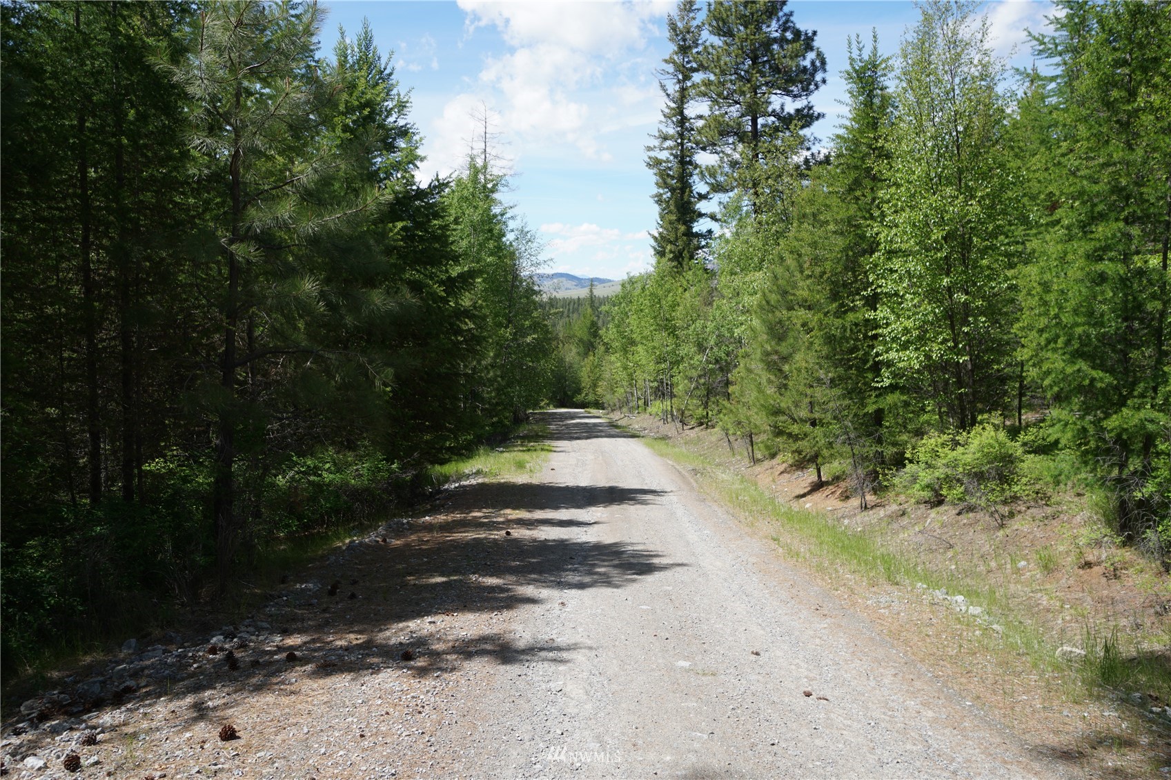 15-tbd Wild Turkey Lane Riverside, WA 98849 - Photo 10 of 23 Gallery Image 10