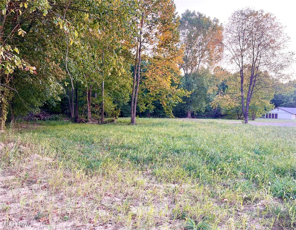 Rutledge Street Dennison, OH 44621 - Photo 2 of 3 View of yard