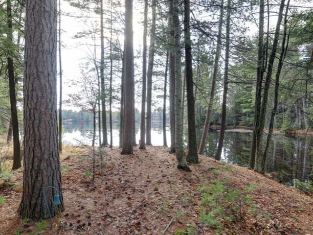4262 Nighthawk Lane Rhinelander, WI 54501 - Photo 8 of 20 Gallery Image 8