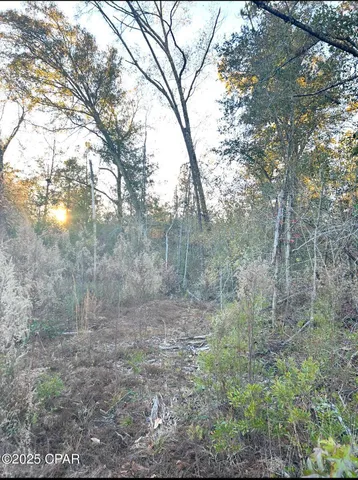 $45,900 | 90 Highway 90, Marianna, FL 32446