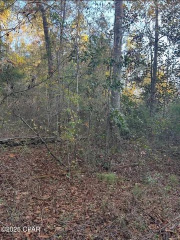 $42,500 | 90 Highway 90, Marianna, FL 32446