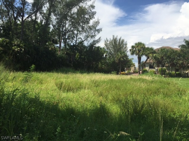 13200 Linton Road Fort Myers, FL 33908 - Photo 7 of 10 a view of outdoor space with green field and trees