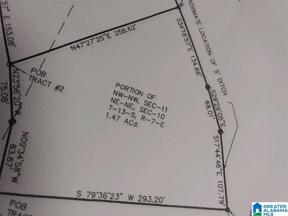 1244 Dove Welch Road Wellington, AL 36279 - Photo 4 of 5