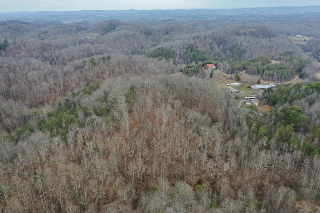 0 Dripping Springs Road Seymour, TN 37865 - Photo 16 of 32 Gallery Image 16