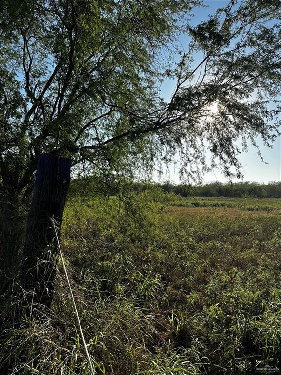 21 Mile 21 Road Edcouch, TX 78538 - Photo 8 of 17 a view of yard with green space